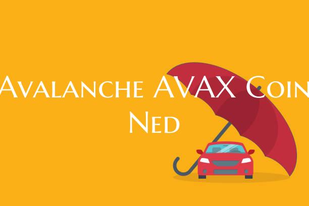 Avalanche AVAX Coin Ned